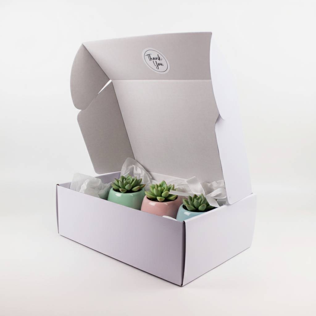 Custom Minimalist White Mailer Boxes For Elegant Brand Presentation