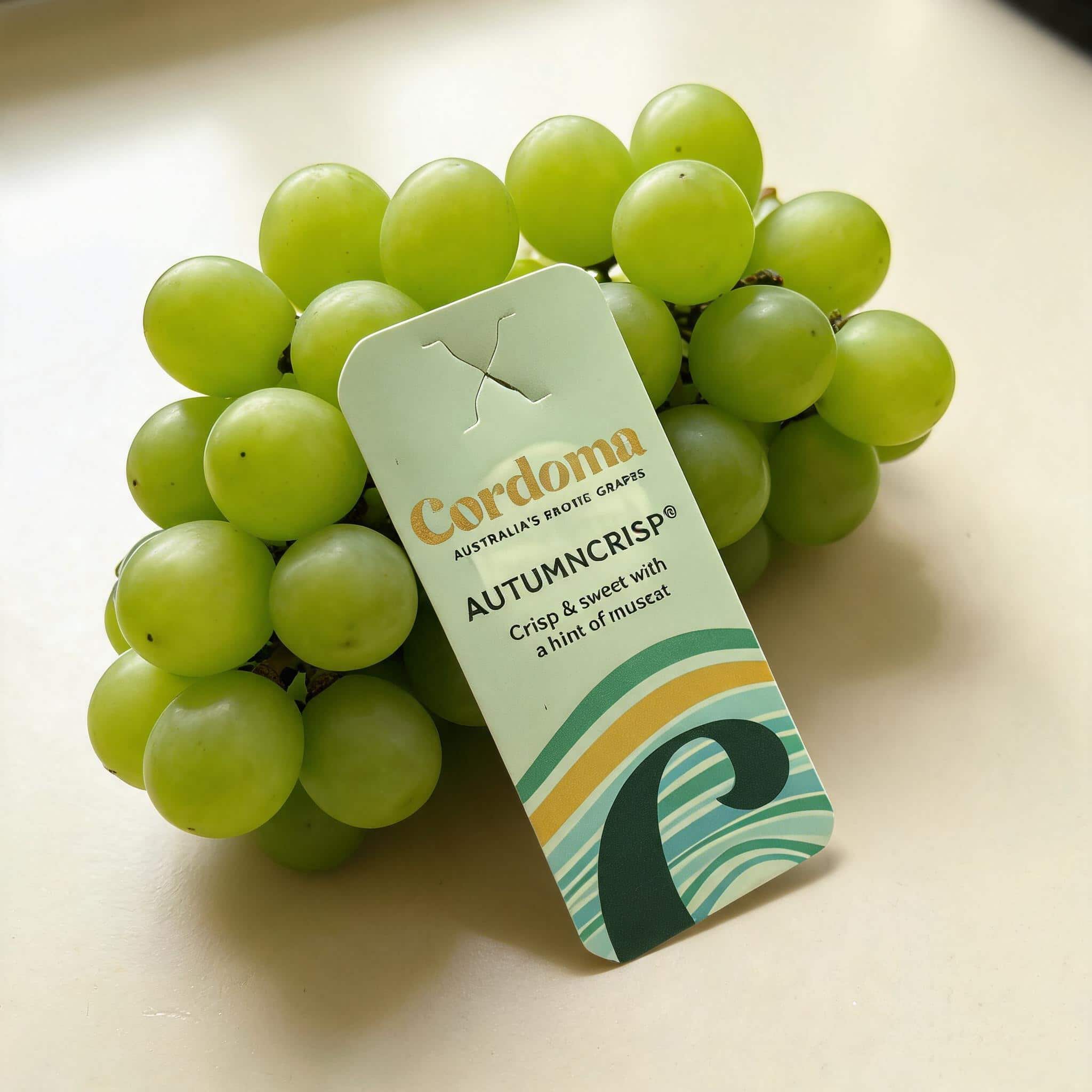 Elegant Paper Hang Tags For Fresh Grapes And Produce